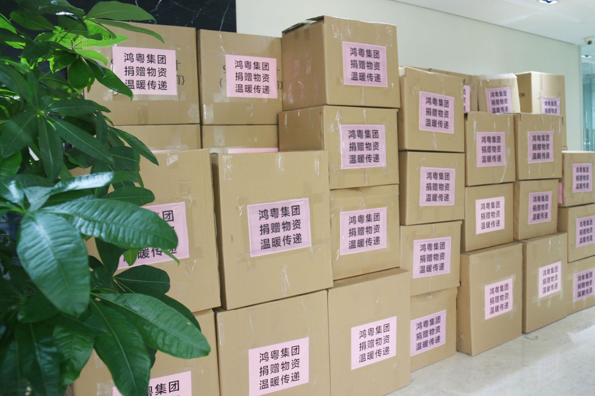 金年汇官方版网站登录入口-金年汇(中国)公益回顾丨家国同欢月同圆 温暖满载甘孜州(图1)